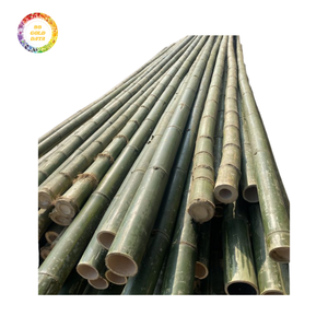 Poteau en bambou pour treillis, décoration extérieure et usage agricole avec une structure solide et une excellente option économique - Product Image 3