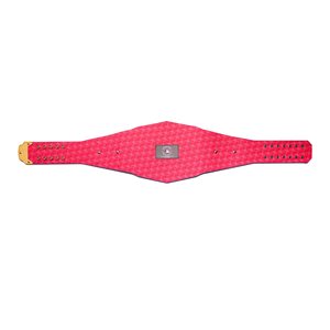 Ceinture de lutte de championnat Football américain 2mm et 4mm Ceinture de championnat WWE Source d'alimentation manuelle de qualité supérieure Ronpex - Product Image 5