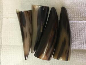 Horn Roll Polished <b>Animal</b> Eco-Friendly for <b>Pen</b> Door Knobs & Knife Handle by faizacraft - Product Image 2