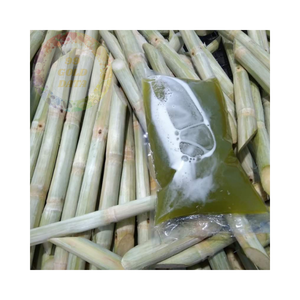 ก้านอ้อยสดแช่แข็ง-เหมาะสำหรับเครื่องดื่มเพื่อสุขภาพ - Product Image 2