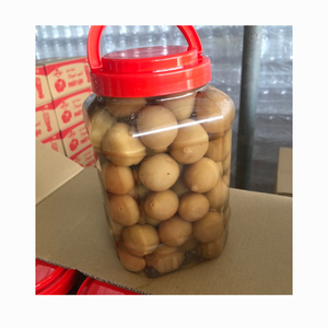 Canned <b>Pickled</b> Lime Salted Lime Preserved Lemon in Brine High Quality From Vietnam 99GD Factory - Product Image 6