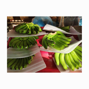 Bananes Cavendish fraîches du Vietnam récoltées avec un bon choix Bananes fraîches Fruits tropicaux Meilleur fournisseur 99GD Banane fraîche - Product Image 3