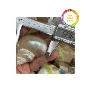 Porte-serviettes en coquillage durables faits à la main pour un dîner élégant dans les restaurants, les entreprises de restauration et les sites côtiers - Product Image 6