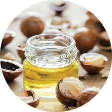 Usine de fabricant en gros d'huile de support de noix de Kukui 100% huile de support de noix de Kukui de qualité supérieure pure et naturelle d'Inde - Product Image 5