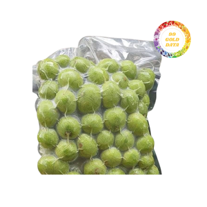 Dracontomelón congelado de alta calidad, clasificado y congelado para un sabor y textura consistentes en uso industrial y en la cocina - Product Image 1