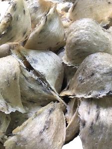 NIDO DE PÁJARO BIGSIZE DE ALTA CALIDAD DE VIETNAM-MEJOR PRECIO 2025 12 MESES DE VIDA ESTABLE ALMACENAMIENTO SECO // Sra. Beatrix - Product Image 4