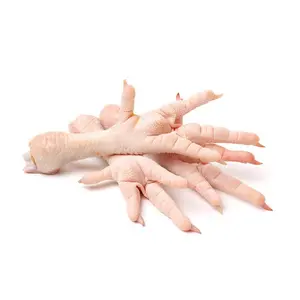 Top Selling Premium Halal Frozen Whole Chicken, Chicken Feet, Paws Frozen Chicken Paws Chicken Low Price