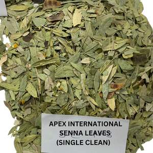 Hojas secas de Senna cortadas en T y polvo de hoja, hojas laxantes naturales, exportador de hojas de Senna India, hojas de Senna para té - Product Image 3
