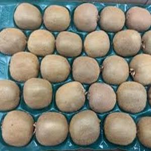 ซื้อผลไม้กีวีเพื่อสุขภาพสำหรับการจัดส่งทั่วโลก - Product Image 4