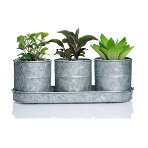 New Arrival Rounded Metal Planter Flower <b>Plant</b> Iron Galvanized Planters with Metal Base Silver Polished & Black Powder Coated - Product Image 4