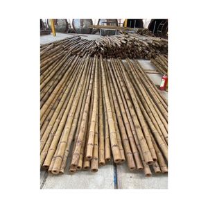 เสาไม้ไผ่ผนังหนาและแข็งแรงสำหรับการก่อสร้างและจัดสวน - Product Image 6