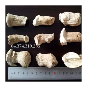 Exportación líder: hongos shiitake secos de alta calidad, frescos y orgánicos de Vietnam. - Product Image 6