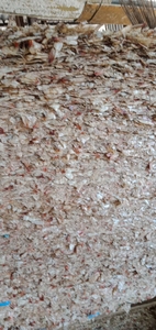 ส่งออกผงกุ้งจากเวียดนาม - Product Image 5