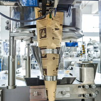 Machine d'emballage de granulés entièrement automatique multifonctionnelle 1-100g pour l'emballage de sachets de café, d'épices et de sucre, à bon prix