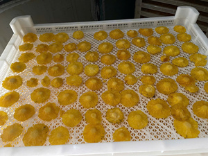 Piña seca suave de alta calidad de Vietnam para refrigerios, postres y decoración de repostería, con dulzura natural y textura masticable. - Product Image 3