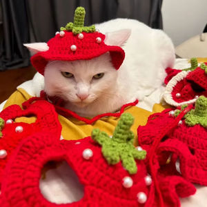 Gorro de Ganchillo Hecho a Mano con Forma de Fresa, Lindo y Divertido para Mascotas, Ropa para Gatos y Cachorros - Product Image 5