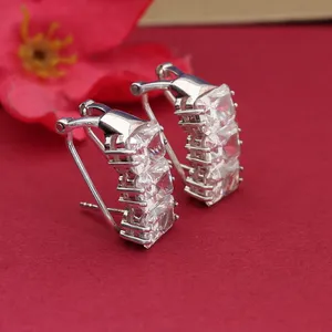 Boucles d'oreilles hypoallergéniques en cristal de zircone cubique, bijoux élégants en argent pour femmes - Product Image 2