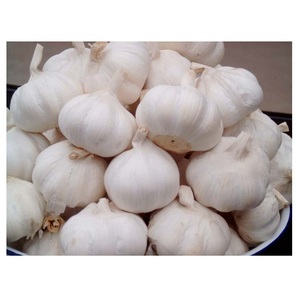 กระเทียมธรรมชาติสดใหม่กระเทียมสดออร์แกนิก