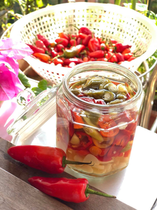 Piment mariné de haute qualité en conserve à bon prix - Product Image 5