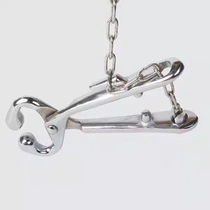 Alicates de perforación de Nariz de vaca de alta calidad, instrumento quirúrgico veterinario personalizado profesional, venta directa de fábrica, barato - Product Image 3