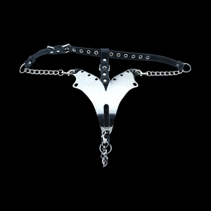 Nuovo Design BDSM metallo castità Pantie regolabile in acciaio inox femminile cintura Bondage Sexy biancheria intima per le donne - Product Image 3