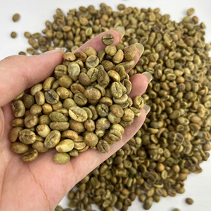 Café Robusta Vert du Vietnam de Clean Source, grains de taille uniforme pour torréfaction à grande échelle et commerce mondial du café - Product Image 4