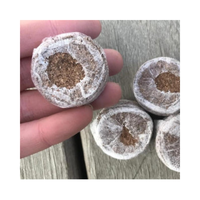 COCO Jiffy-arbre de planification de bloc vert or clair foncé pour serre 99GD, 100% prix de la menthe COCO biologique