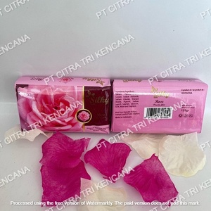 Savon de Soin au Collagène pour la Peau, Savon de Bain Beauté, Savon Corporel, Savon de Douche, Idéal pour Karkar PAPUA NEW GUINEA - Product Image 1