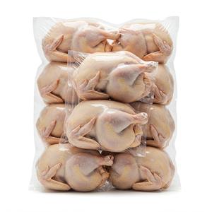 Pollo entero congelado limpio en embalaje a granel Exportación lista para cadenas minoristas y supermercados Oferta por tiempo limitado - Product Image 6