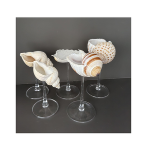 Unique Seashell cóctel taza hecha a mano boda Barware Ideas - Product Image 1
