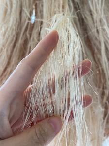 100% TISSU DE BANANE EN FIBRE DE BANANE NATURELLE 100% PRODUIT ÉCOLOGIQUE NATUREL DE BLEU LOTUS VIETNAM - Product Image 2