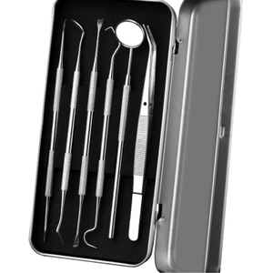 Juego de 6 piezas de herramientas dentales de acero inoxidable para la higiene bucal con estuche, instrumentos de limpieza dental. - Product Image 1