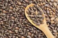Huile de graines de ricin pressée à froid, extraction d'huile végétale et animale, huile de graines de ricin biologique de qualité supérieure, extraction d'huile de graines de ricin, pureté de 99%
