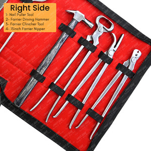 Outils de maréchaux professionnels Kit de toilettage avec étui pince à sabot de cheval pince à râper les sabots couteaux de coupe extracteur et testeur de tampon - Product Image 3