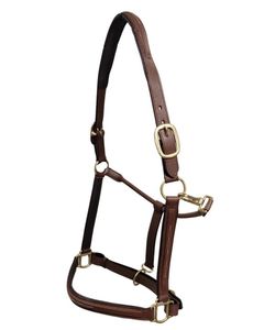 Halter surélevé et rembourré-cousu fantaisie Un licou chic avec une touche de flair! Cuir rembourré, cousu fantaisie surélevé - Product Image 6