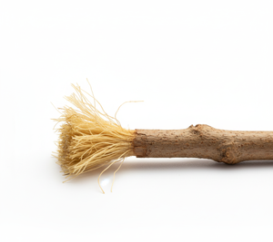 LeafBloom, palillo de madera orgánico para dientes, blanqueamiento de hierbas, Fuerza de las encías, higiene Dental ecológica, limpieza bucal Natural, FreshMiswak - Product Image 5