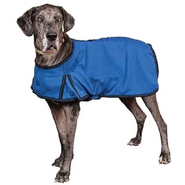 Waterdichte Kleding Voor Huisdieren Ultra Warm Winter Hond Tapijt Lichtgewicht Hondenregenjas Op Maat Logo Fabrikanten Kanpur Paardrijden