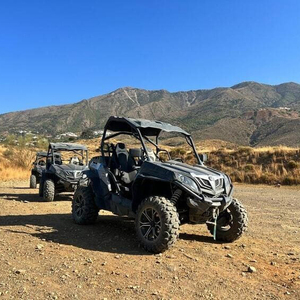 230cc Velocidad máxima 60 km/h Todo terreno 4 ruedas Vehículo de combustible para adultos Buggy Off-Road Gasolina Coche deportivo 2025 - Product Image 1