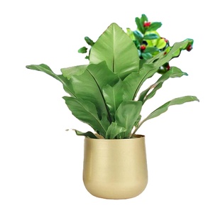 Matte <b>Gold</b> Finish Flower Planter Pot and High-End Quality Brass Plating <b>Vase</b> Elegant Home Decor <b>Gold</b> Flower <b>Vase</b> - Product Image 1