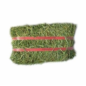Heno de Alfalfa Seco Premium al por Mayor 2025, en Pacas, para Alimentación de Caballos y Ganado, Exportación desde Austria - Product Image 2
