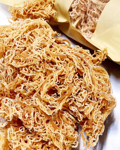 HIGH GRADE <b>DRIED</b> SEA <b>MOSS</b> FROM VIETNAM FOR GLOBAL SUPPLY - Product Image 1