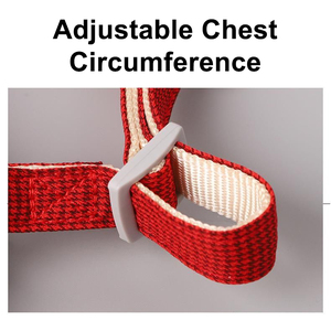 Venta al por mayor de fábrica, Collar de nailon para perros, correas, arnés de pecho, conjunto ajustable, cómodo, Collar para perros, correas para caminar al aire libre - Product Image 6