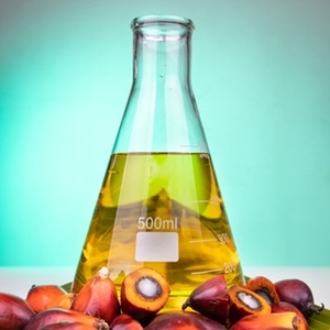 Huile de palmiste raffinée fractionnée biologique de qualité supérieure Olein CP10 - Product Image 1