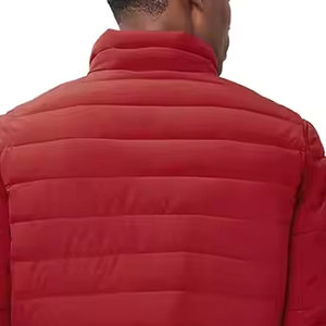 Veste en duvet rembourrée personnalisée en gros 2024 Nouvelle veste en duvet de conception récente à la mode - Product Image 6