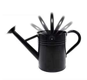 Arrosoir en métal de style populaire pour jardin et décoration intérieure plantes fournitures buse arrosoir en métal intérieur et extérieur - Product Image 3