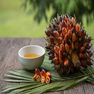 Huile de palme raffinée déodorisée de qualité supérieure - Product Image 4