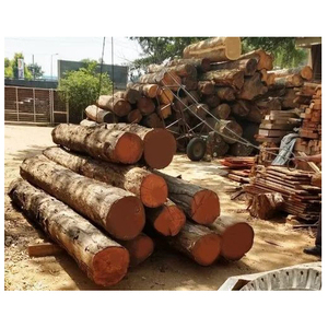 Vente en gros de bûches de bois de teck 100% garantie écologique 1 an directement aux entreprises pour la décoration de meubles - Product Image 5