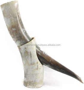 Export Selling Double Wall Eco-Friendly High Quality Drinking Horn Mug for Mead Beer Cold Beverages at Best Price From India - Product Image 2