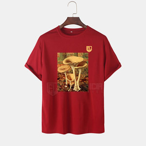 เสื้อผ้าลำลองสำหรับผู้ชายทรงสลิมฟิตระบายอากาศได้เสื้อยืดถักคอกลมแห้งเร็วทนทานโลโก้น้ำหนักเบาพิมพ์ลายสำหรับฤดูร้อน - Product Image 1