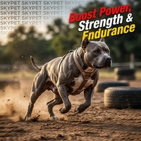 Friandises à mâcher molles pour chiens à marque privée, soutien musculaire, gain de poids hypercalorique pour Pitbull K9, supplément de performance canine, masse musculaire